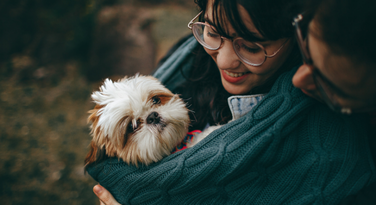 5 cuidados bascios para tu animal de compañía