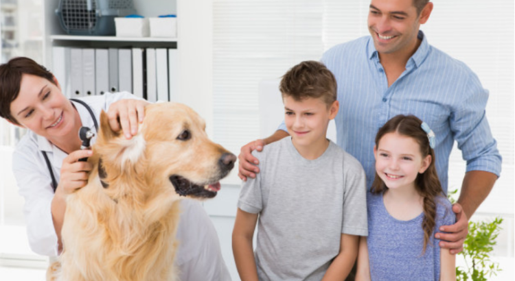 sueldo de un auxiliar de veterinaria